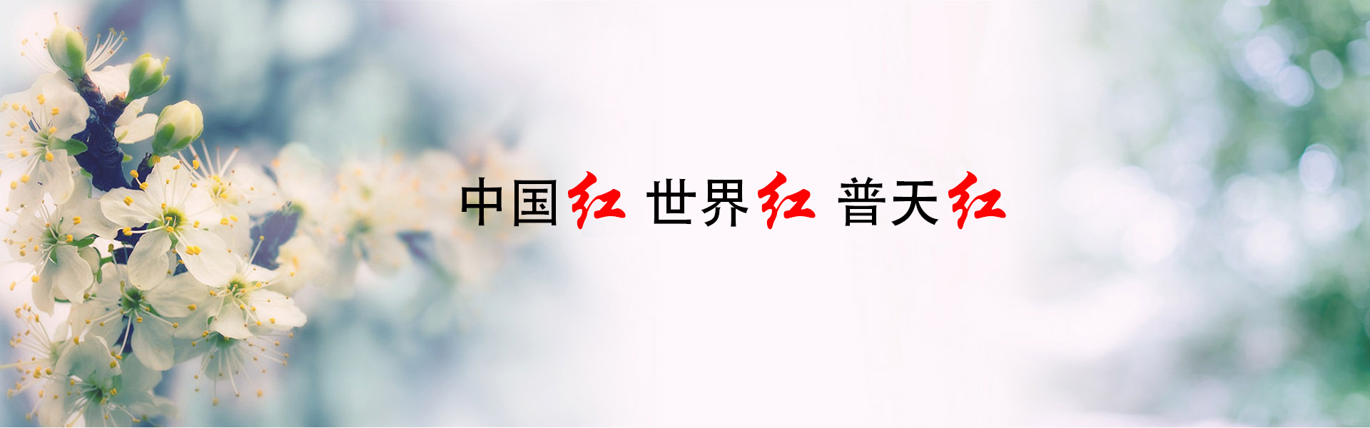 幻灯3